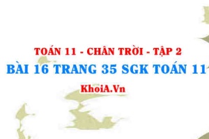 Bài 16 trang 35 Toán 11 Tập 2 Chân trời sáng tạo